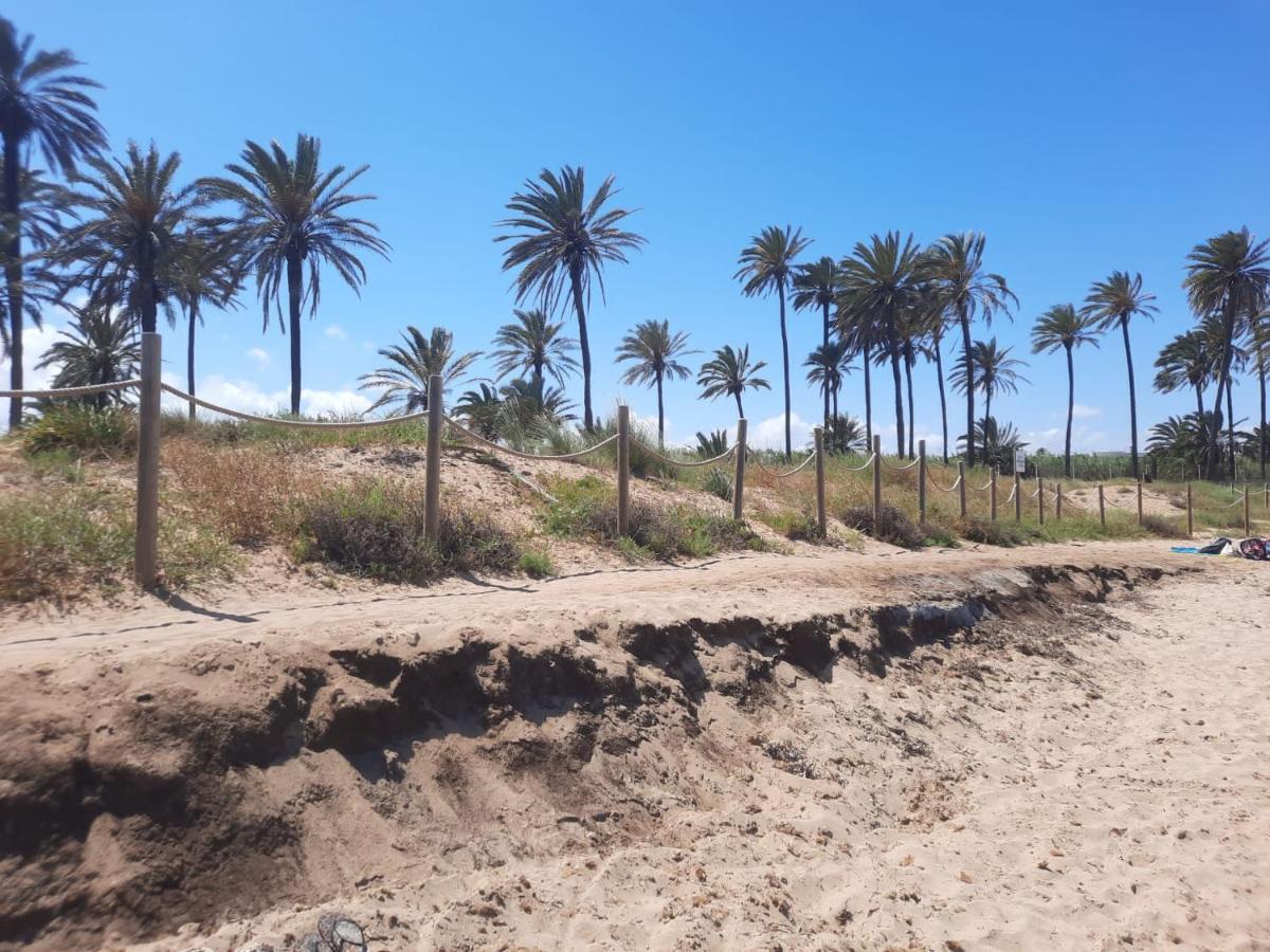 Casa Palma Vista Daire Torrevieja Dış mekan fotoğraf
