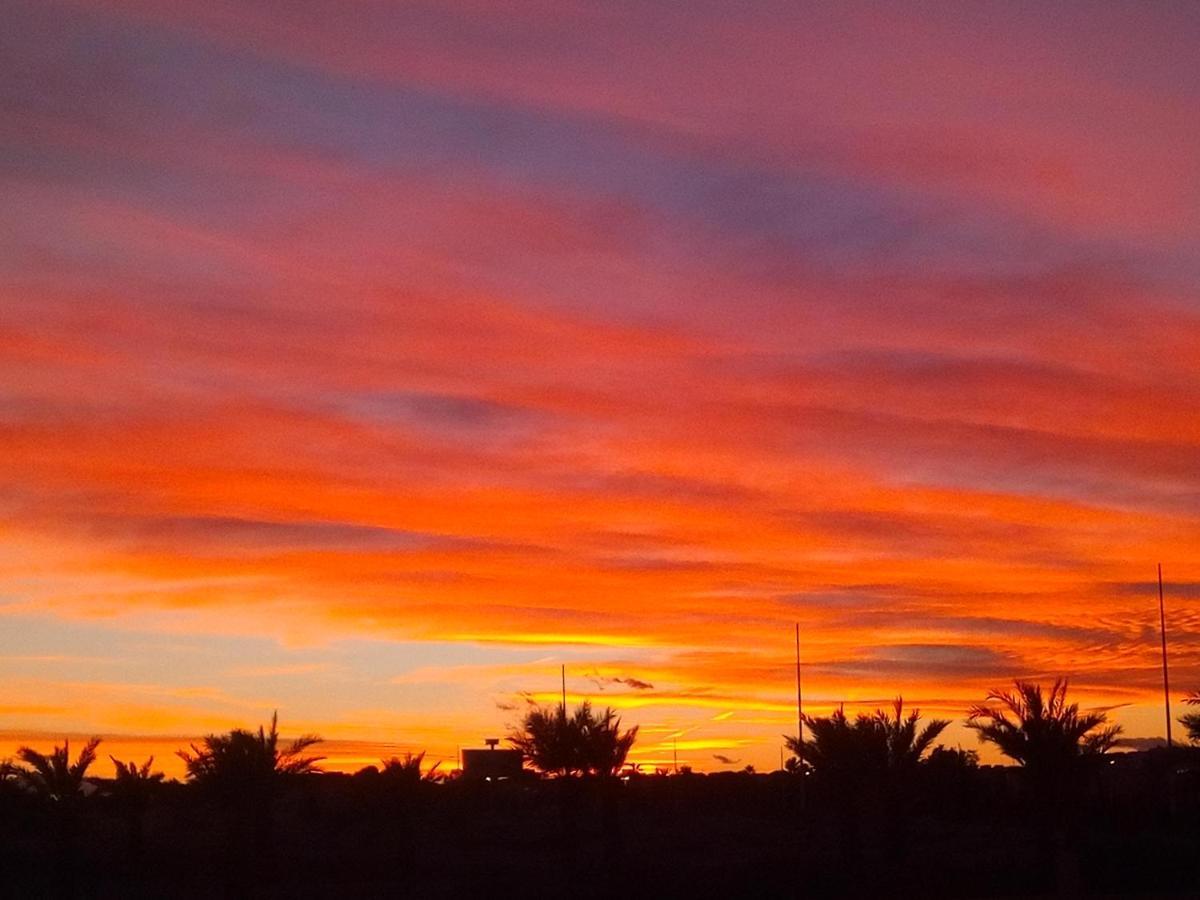 Casa Palma Vista Daire Torrevieja Dış mekan fotoğraf